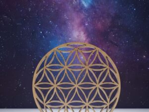 Símbolo de la Flor de la Vida